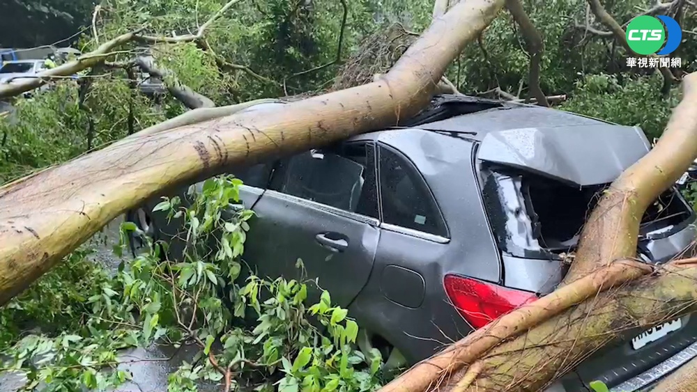基隆雨不停! 樹倒砸3車 女駕駛命大逃一劫