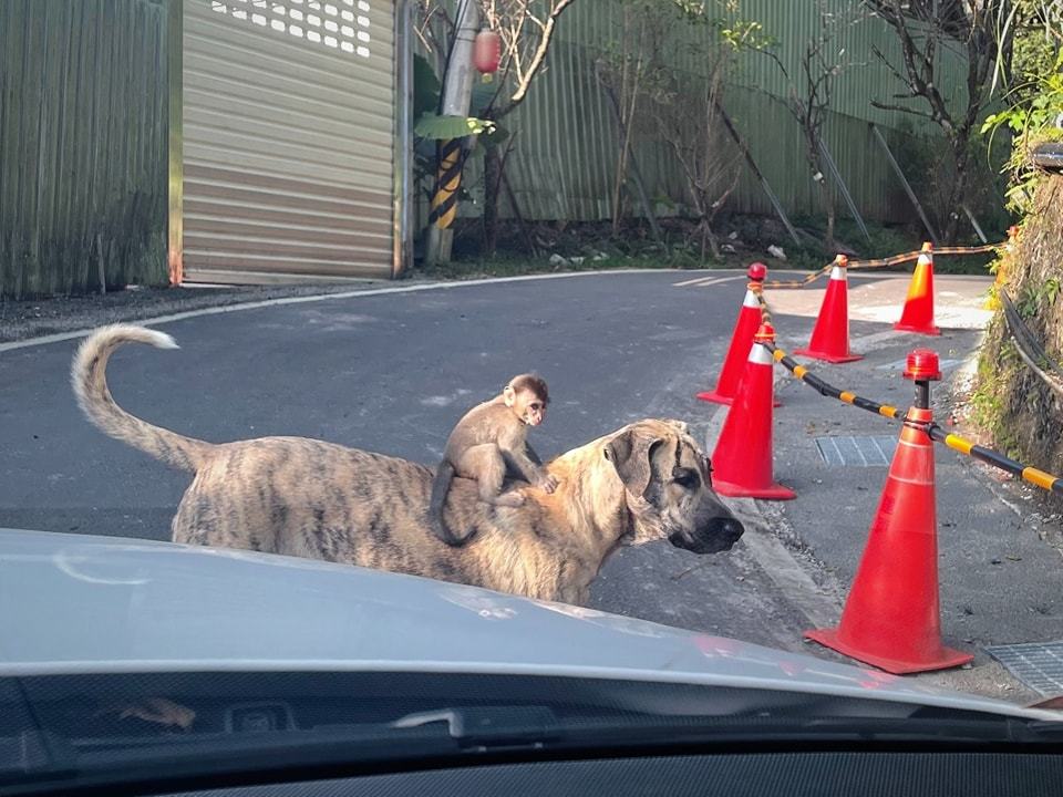 圖 | 翻攝自連晨翔 Simon 臉書