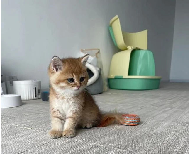 女子提供給中國媒體的照片 / 翻攝自 微博