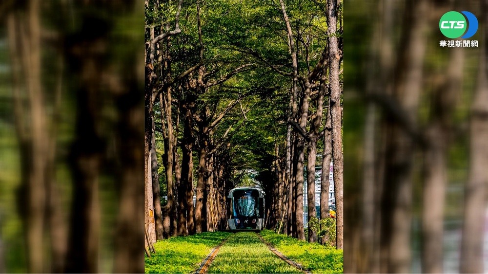 高雄輕軌"龍貓隧道"夯 闖軌搶拍恐罰7500元