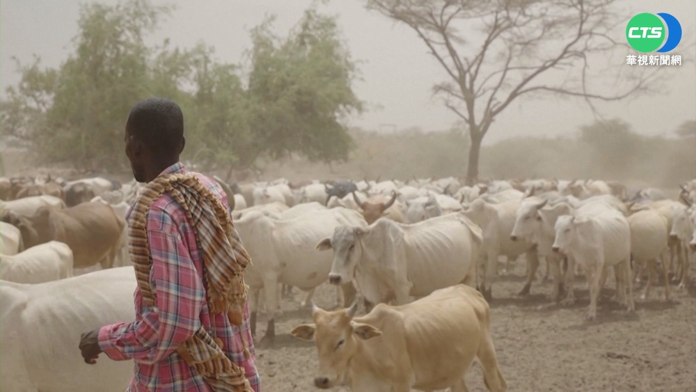 40年來最嚴重乾旱 索馬利亞陷饑荒危機
