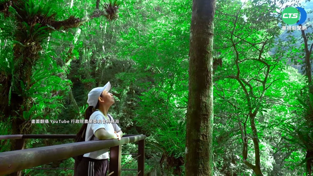 國慶連假瘋萬聖 全台樂園推優惠入場迎遊客