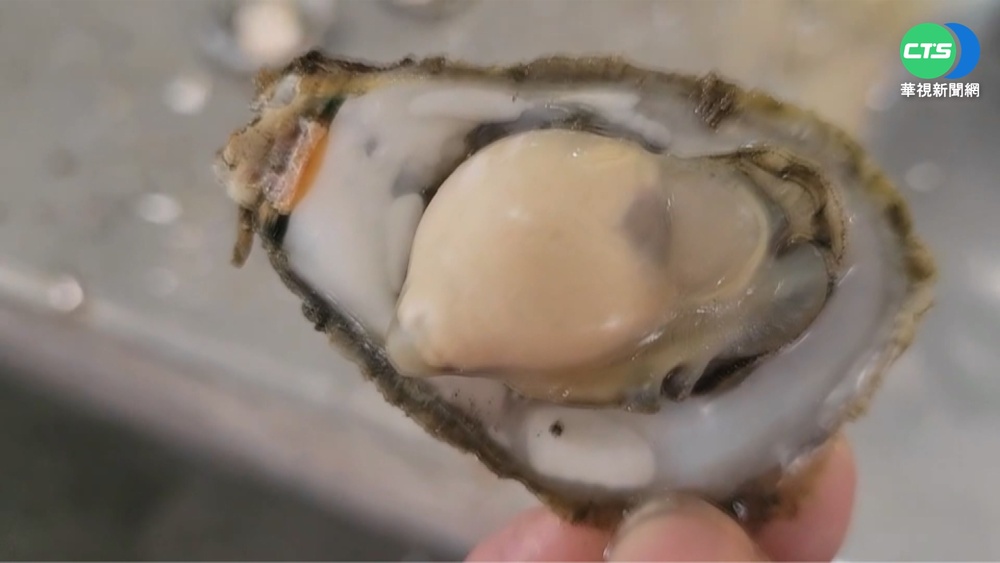 大鵬灣搭船賞景人潮多 烤蚵吃到飽cp値高