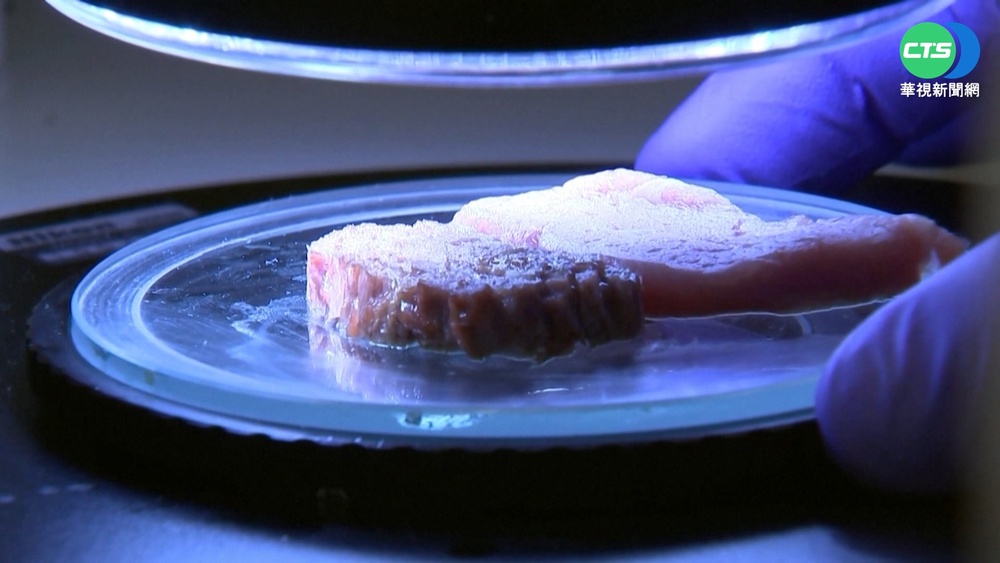 以色列"3D列印"植物肉 口味嚼勁仿真肉