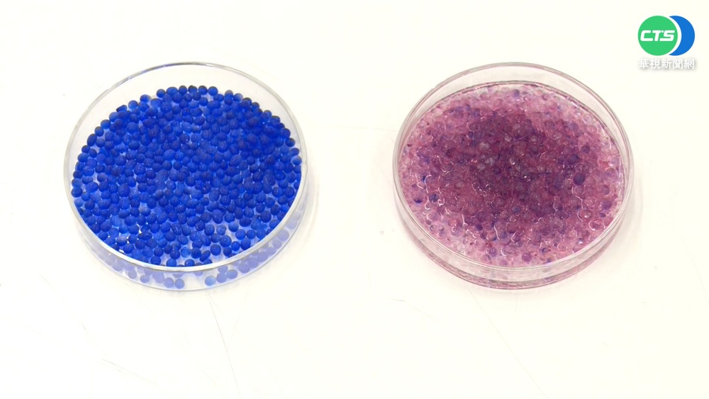 不用電器用品! 省錢除濕撇步大公開