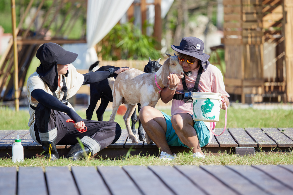 《歡迎光臨-等你來家1》高溫40度做瑜伽有夠瘋！春風難受自爆隱疾 大廚顏志琳拜師學藝「太子爺粥」敲打石鮔直呼：「煮菜煮到曬傷！」