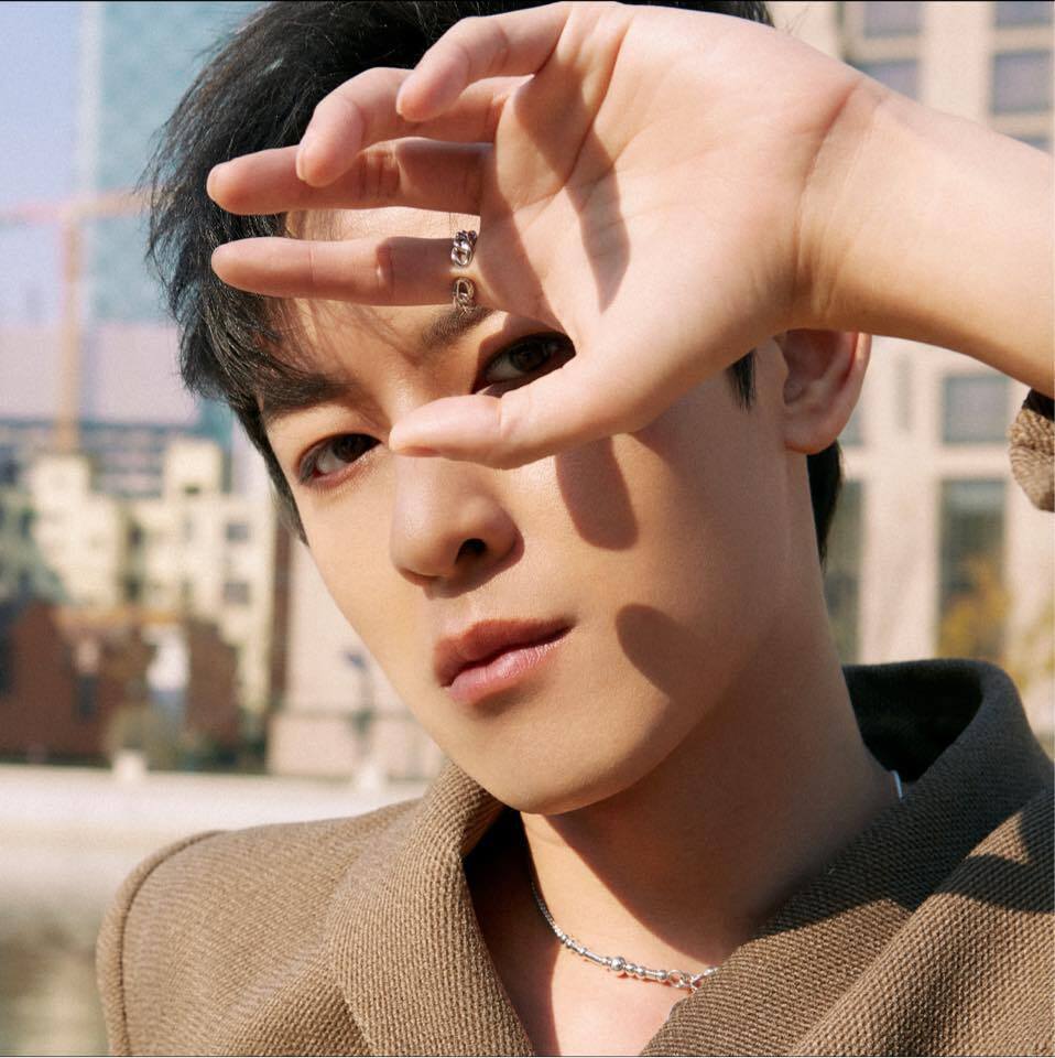 敖犬IG遭盜用變「網紅美女」 照片本人澄清：我也是受害者