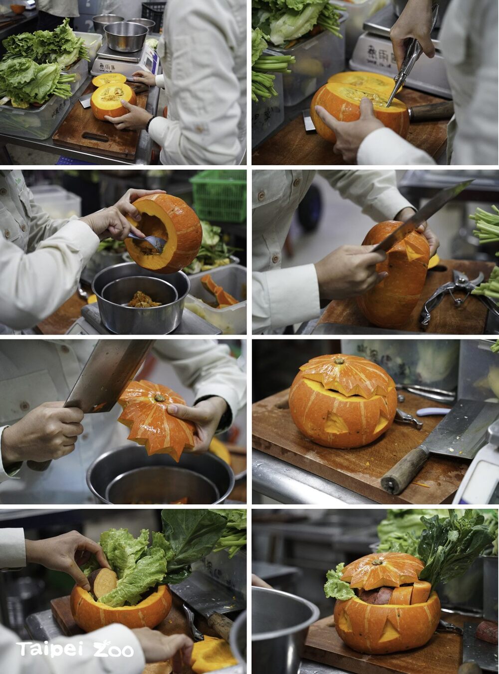 保育員們挖空南瓜，雕刻上各式有創意的鬼臉，接著再擺入仔細搭配秤量過的葉菜與飼料 圖文來源 台北市立動物園