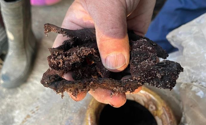 祖厝翻出「這物」羨煞網 內行人搶幫處理