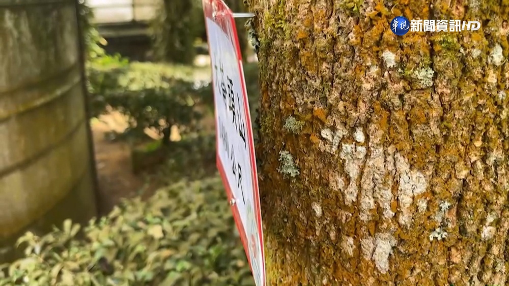 山友"掛標牌"鋼釘釘牛樟 當地園主氣炸