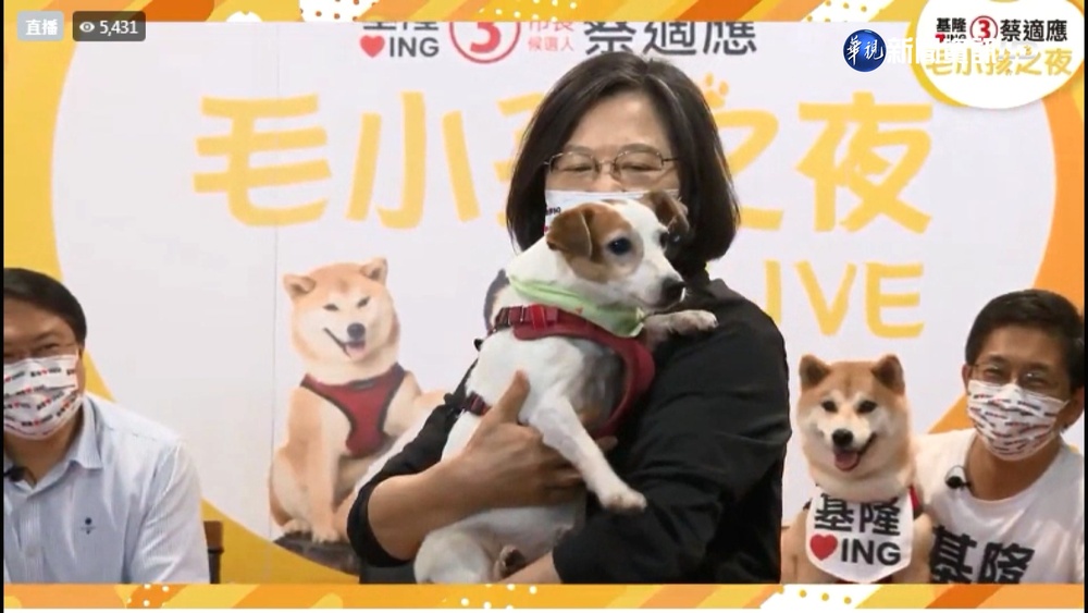 帶毛小孩拚輔選! 蔡英文與候選人大談寵物經