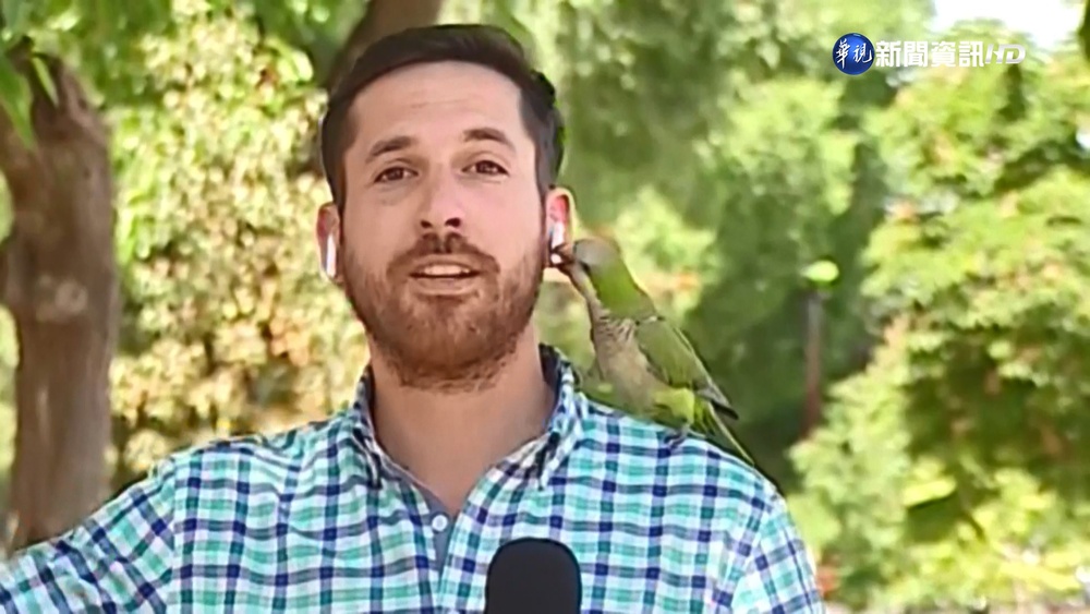 連線竊盜案遇"另類小偷" 直擊耳機被叼走