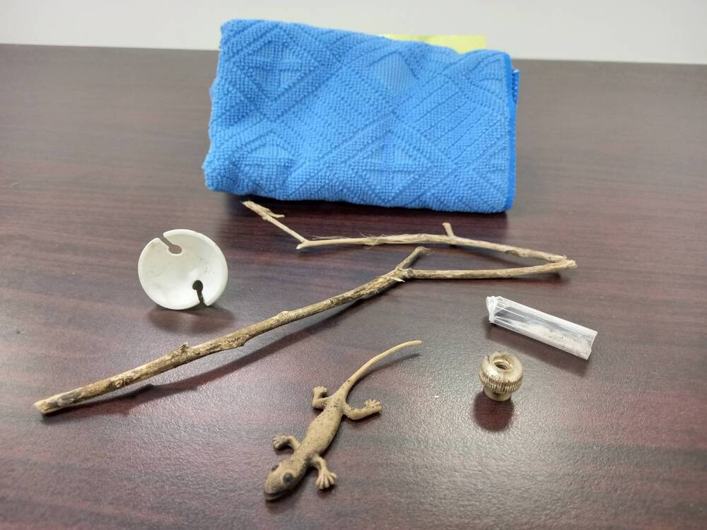 圖/台北捷運提供