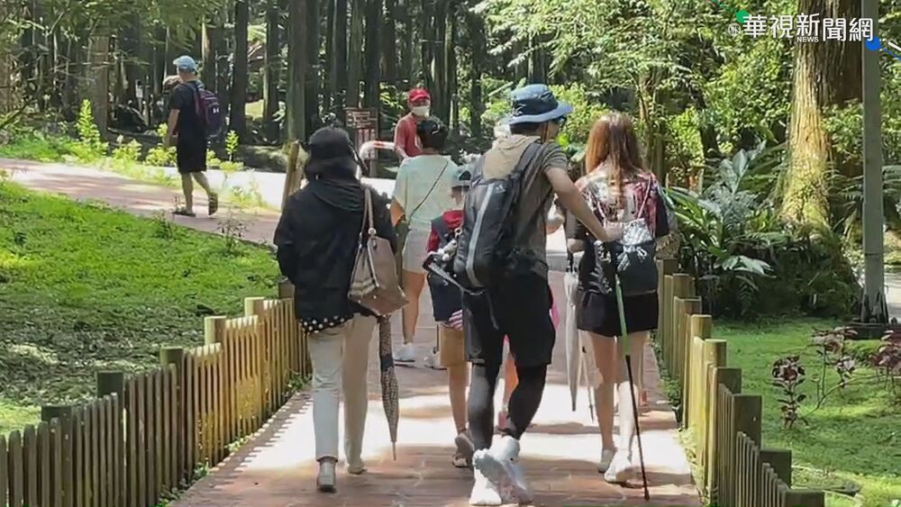 撥雲見日！氣溫回升、把握好天氣 周日下半天東北風再增強