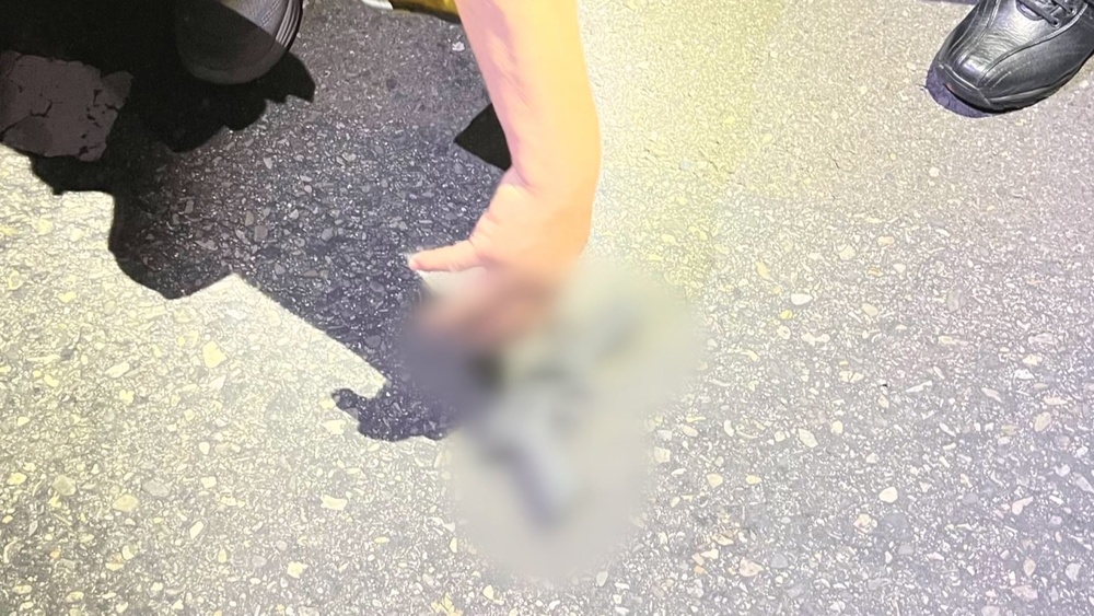 蔡英文桃園助選虛驚! 男攜玩具槍進場遭逮