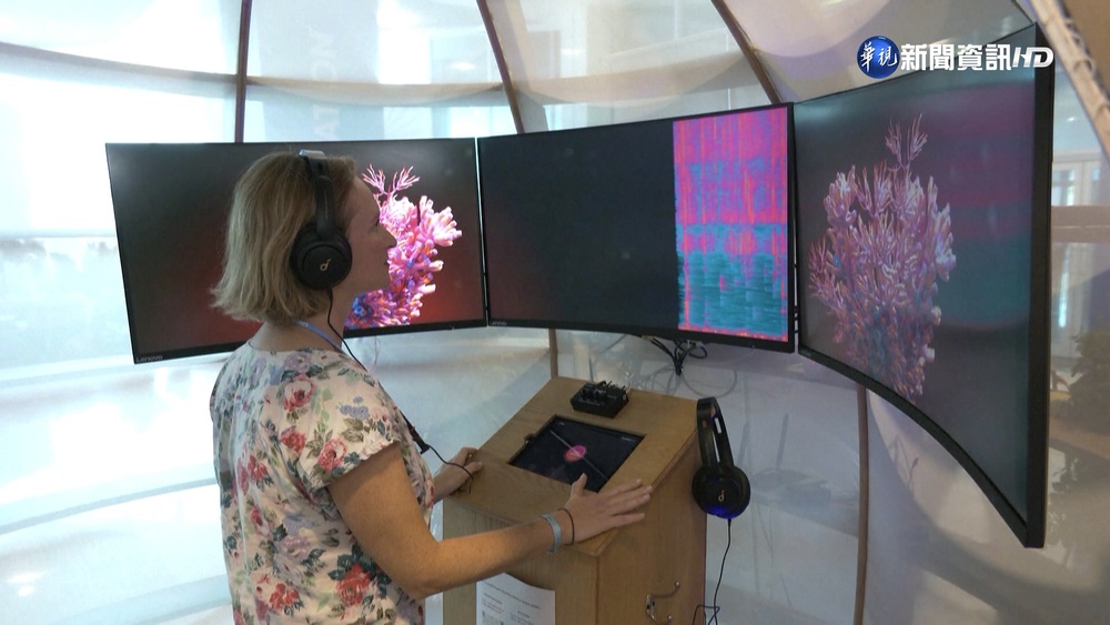 全球珊瑚面臨白化危機 專家AI錄音測健康