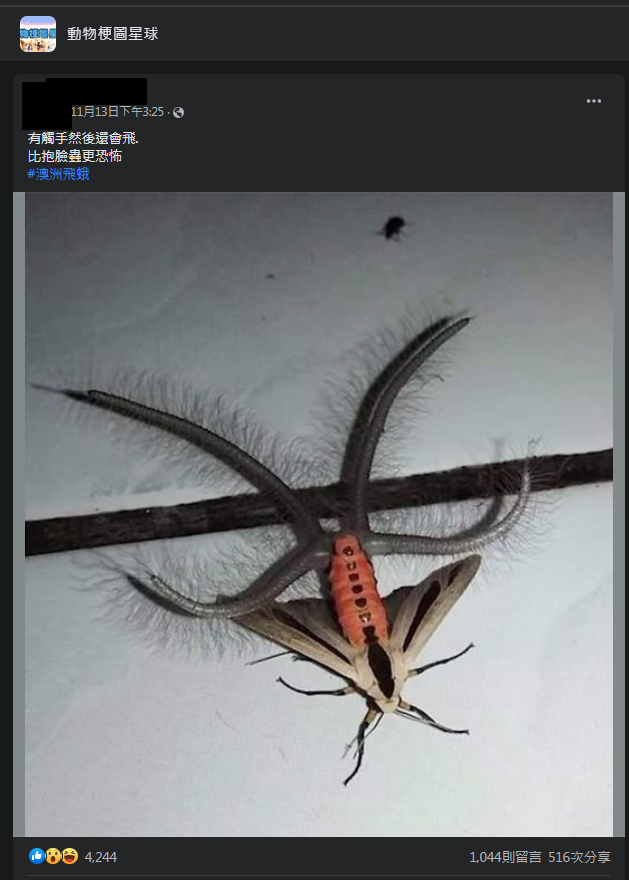 圖片翻攝自 臉書社團「動物梗圖星球」