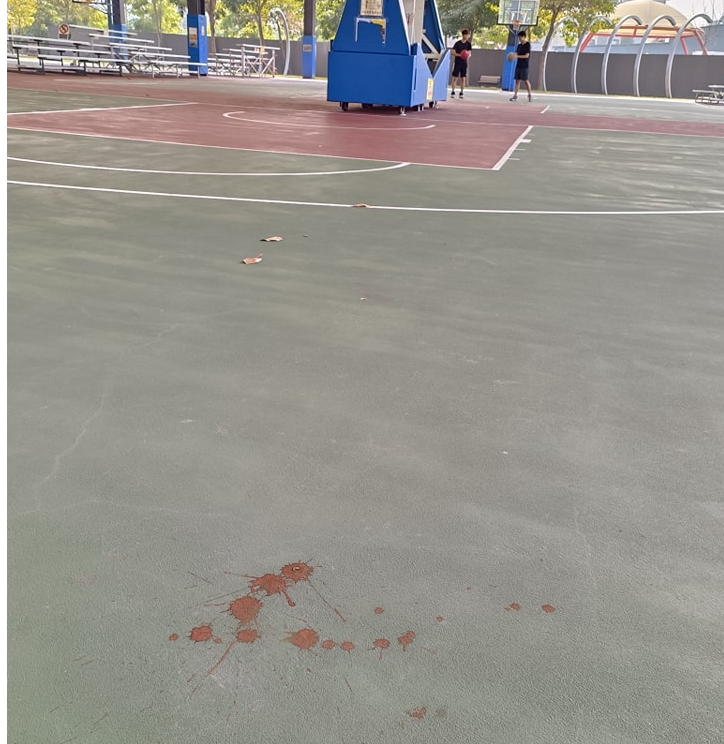 圖片翻攝自 員林市體育管理所 臉書