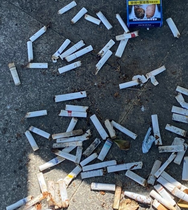 圖片翻攝自 員林市體育管理所 臉書