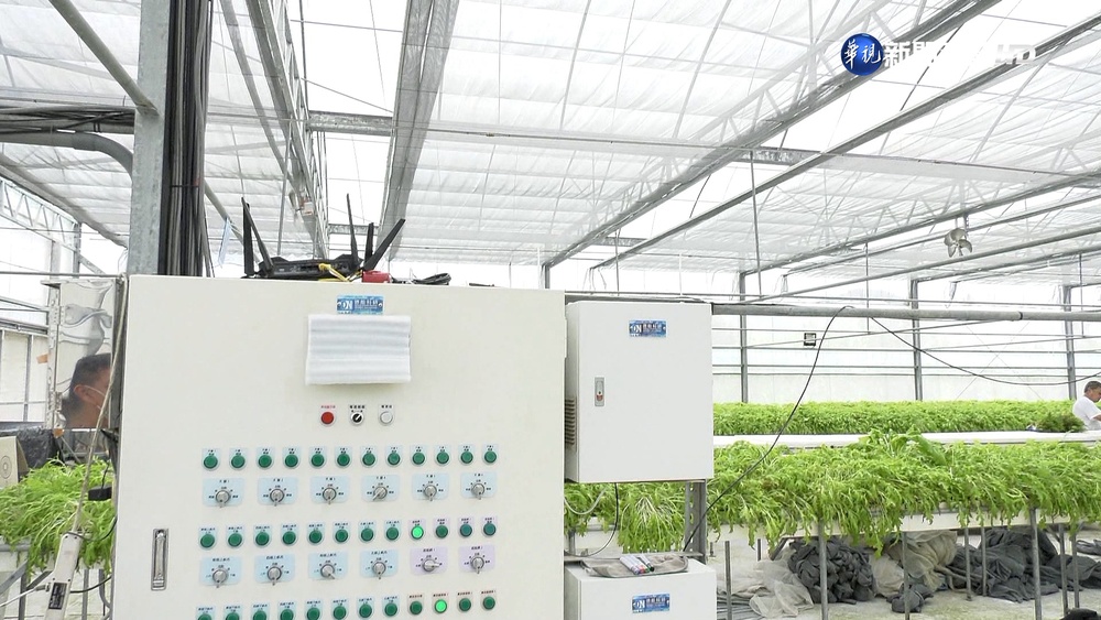 智慧農業在高雄 AI助農民挑選好農產