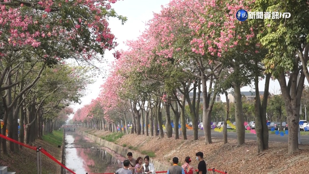 【台語新聞】期間限定! 虎尾深秋美人宴彷彿置身日本