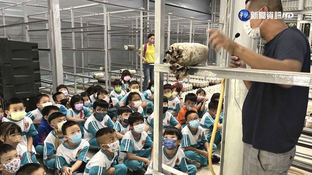 【台語新聞】學童戶外體驗食農教育! 首度體驗洗愛玉