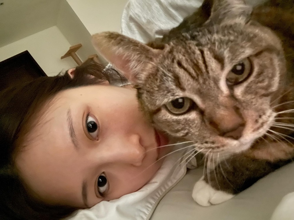 網友罵人罵到「被通緝」 鄭家純也傻眼：第一次看到