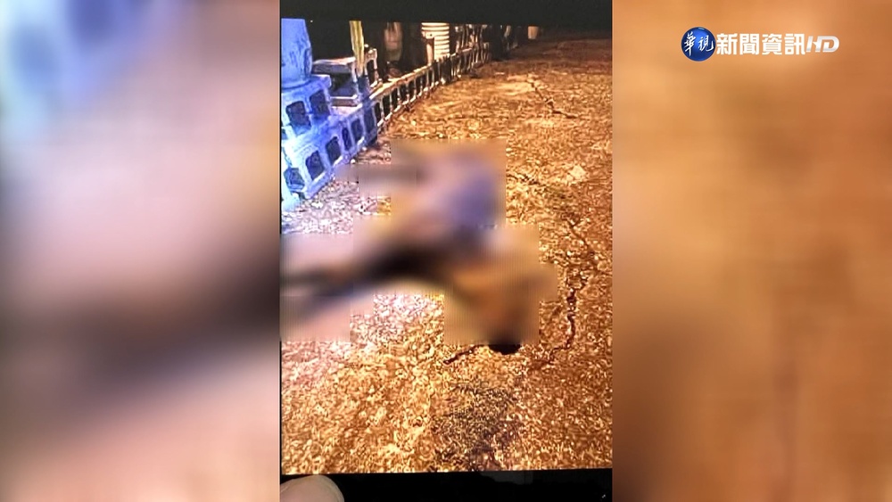 獵殺保育"長鬃山羊"送選民 候選人10萬交保