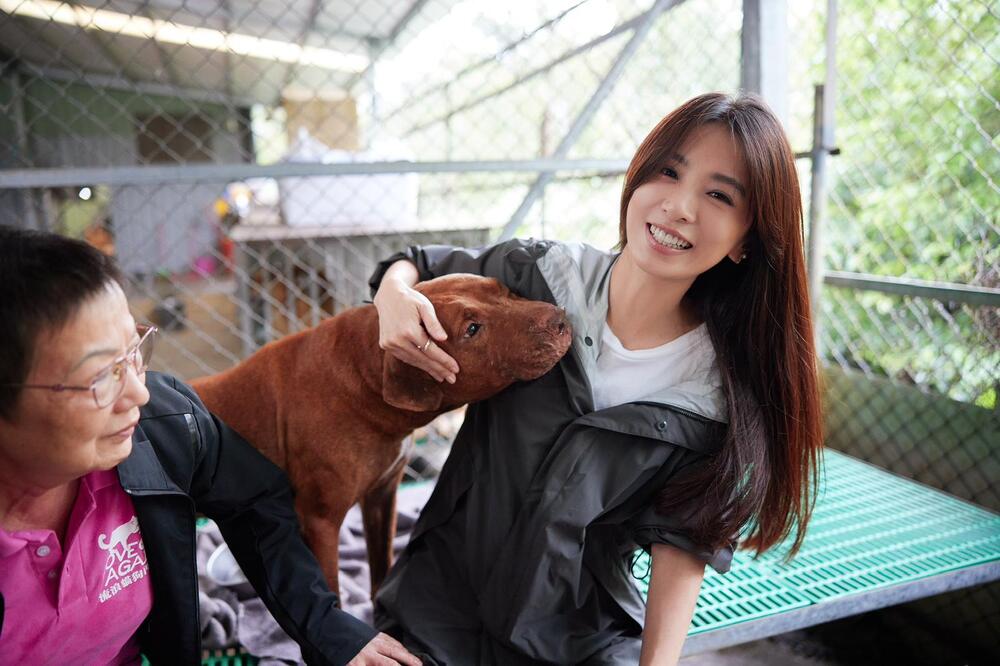 田馥甄現身狗園關懷浪浪 心疼張媽媽為救狗「兒子命都沒了」