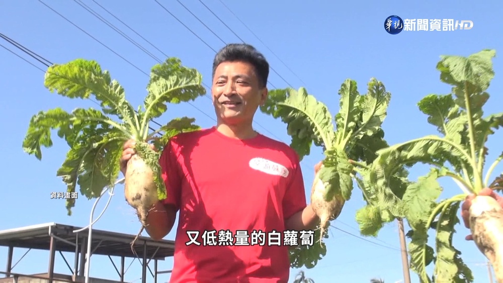 "白蘿蔔+酸性水果"比砒霜毒? 營養師揪錯誤