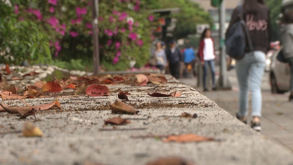 立冬首波冷空氣到！北部高溫僅20度 驟降超過10度