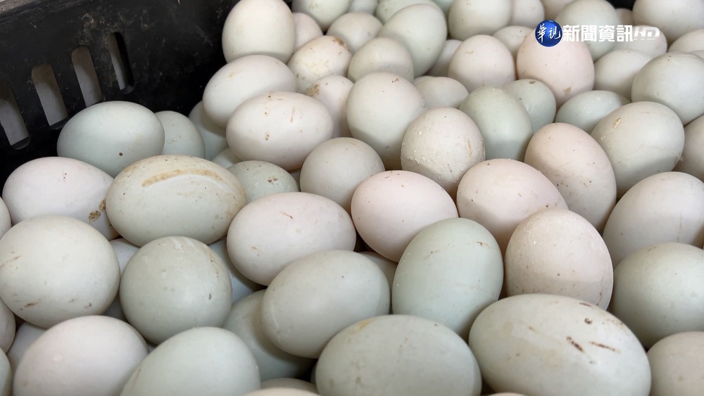 鴨蛋20顆50元佛心價! 業者:因為雞蛋漲太多