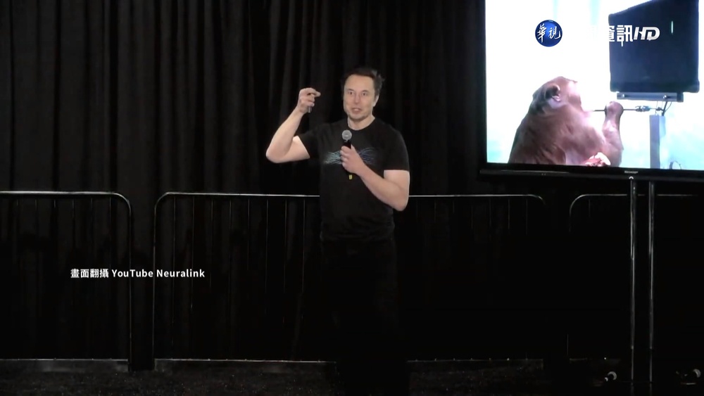馬斯克推大腦植晶片! 喊"讓失明者看得見"