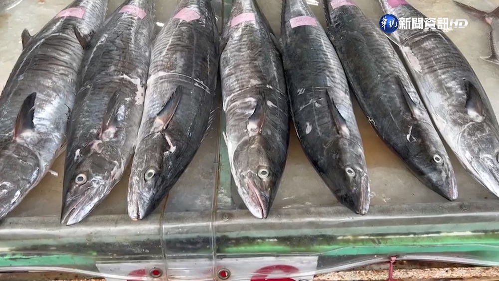 "白金"之亂! 土魠.石喬價差3倍 不肖業者混賣