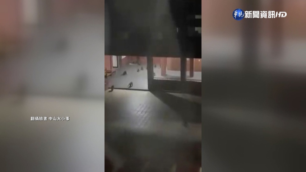 近50隻獼猴"半夜大集結" 學生戲稱"瘋世足"