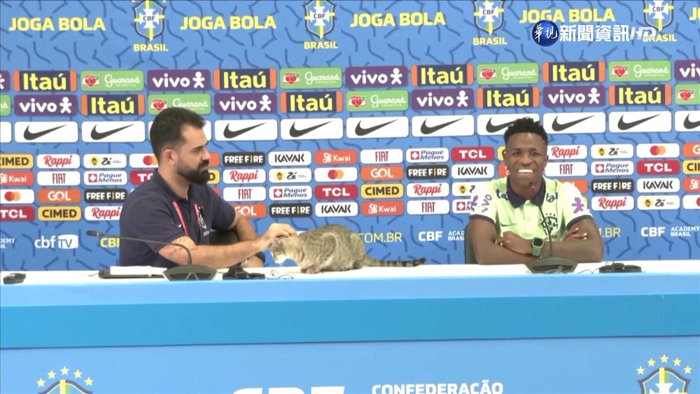 巴西賽後記者會 貓咪跟小維尼修斯搶鏡頭