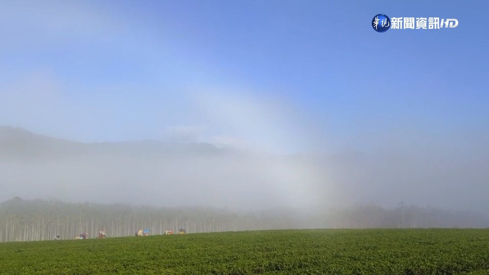 白色霧虹掛山頭 罕見奇景舞鶴民眾嘖嘖稱奇