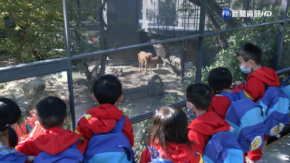 壽山動物園全新登場 可愛動物迎貴賓