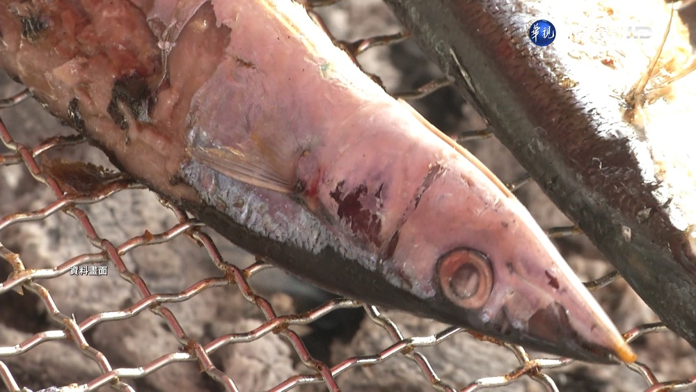 中國禁輸午仔魚.秋刀魚 農委會:註冊補件未過!