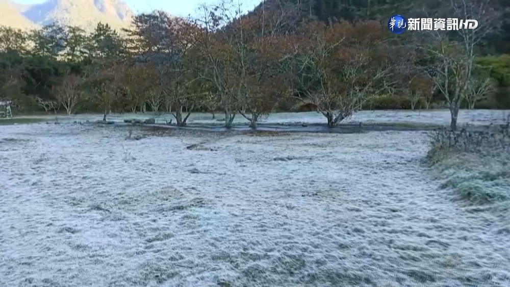 清晨1.4度結霜 銀白色武陵農場美如仙境