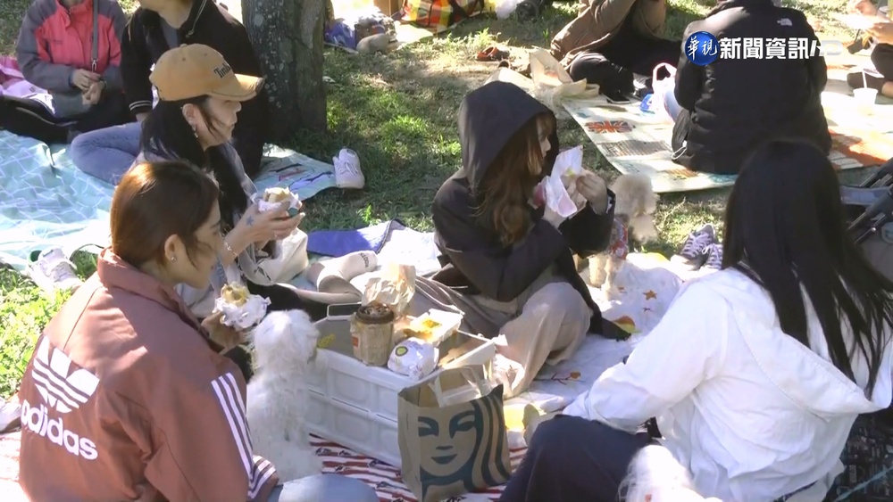 市民野餐日 萬人聚中央公園享受冬日陽光