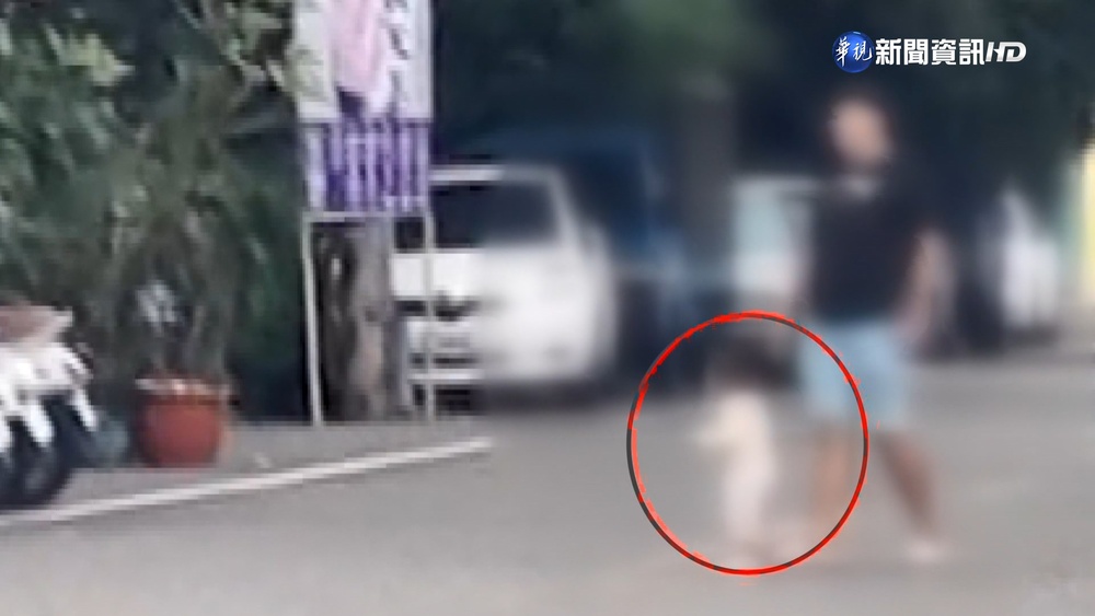 嚇!馬路中驚見"幼兒學步" 車閃急剎險衝撞