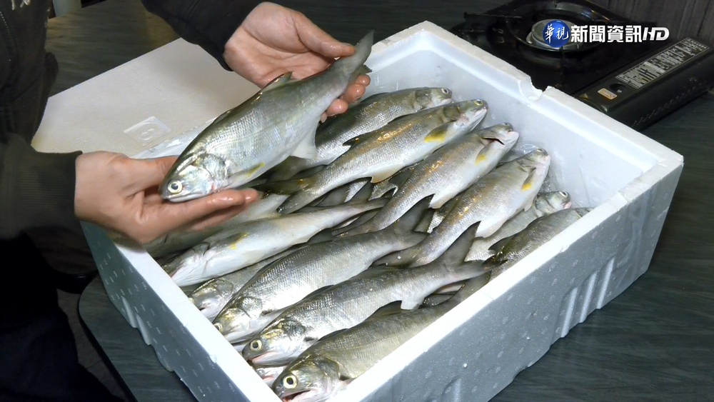 中禁台灣水產 午仔魚業者祭優惠衝內銷自救