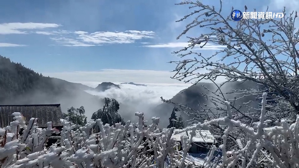 體感-3度! 太平山霧淞雪白世界 遊客搶拍照