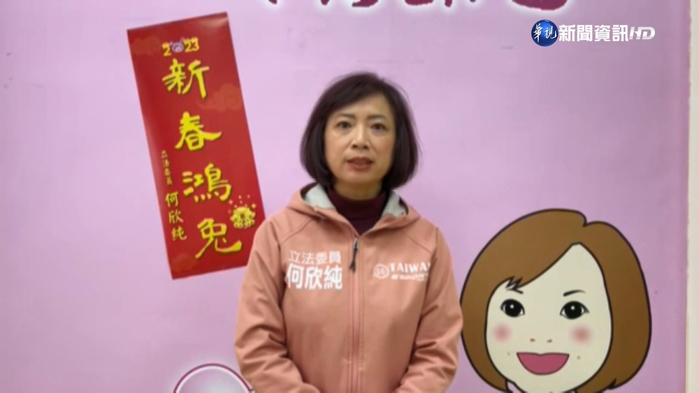 九合一敗.嘉市再敗 何欣純:檢討到底是什麼?