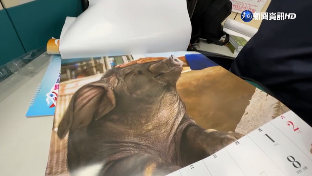 "呈現農民生活"嶄新樣貌 小黑豬月曆引熱議