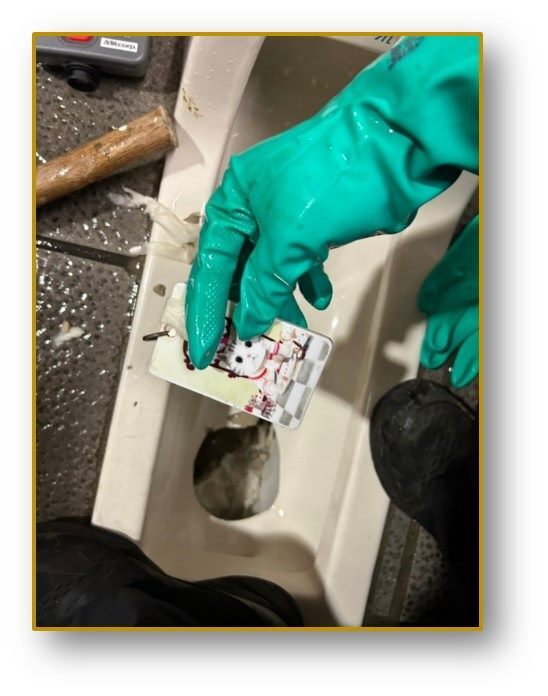 圖/台北捷運提供