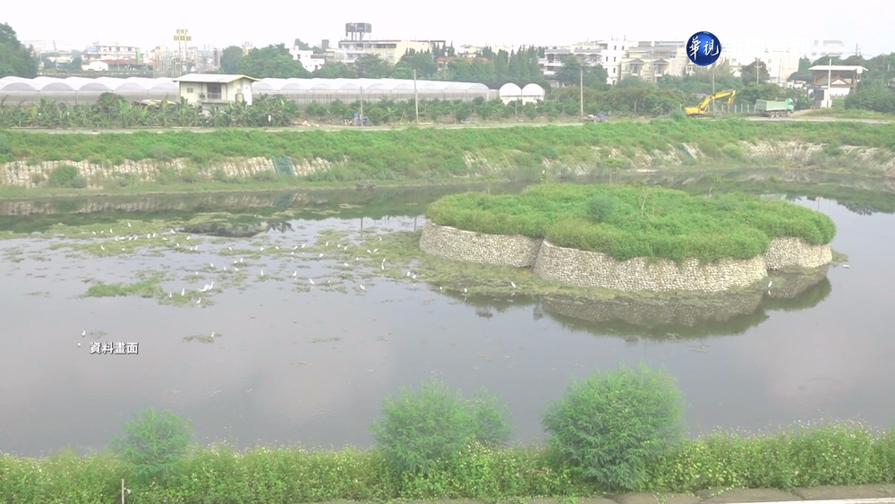 虎尾3千萬滯洪池 不到2年浮萍吞沒變荒地