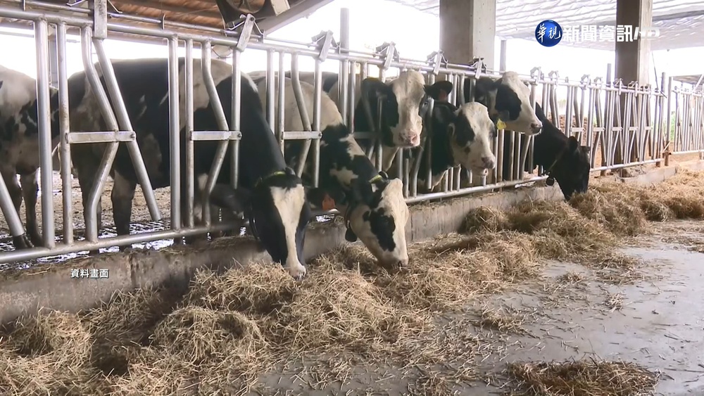 牛奶滯銷"班班有牛奶"? 陳吉仲:產銷管道協助