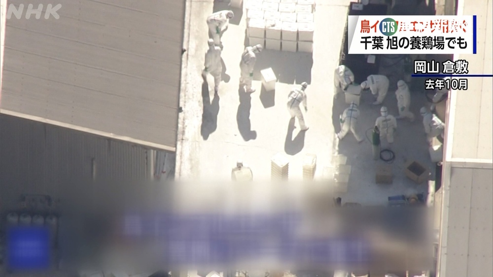 日禽流感再擴散! 本季53養雞場傳出疫情